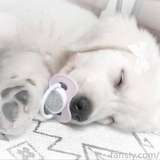 417427022000693248 from fansly