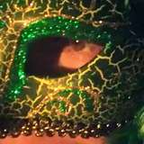 absintheanglas from onlyfans