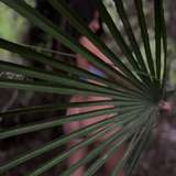 el.secreto.de.ada from onlyfans