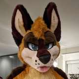 levisheppy from onlyfans