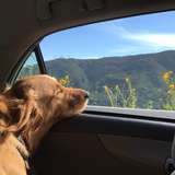 greenjasper from onlyfans