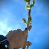 wannabejeff from onlyfans