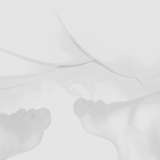 myfeet.tofeel from onlyfans