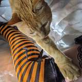 crafty_erin from onlyfans