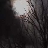 pegasus_adrienne from onlyfans