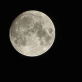 versnerd from onlyfans