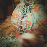 tootiescoots from onlyfans