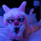 opalshuppyad from onlyfans