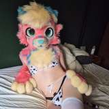 bloomydoggo from onlyfans