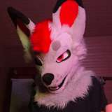 skyethefoxad from onlyfans