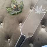 madamekkayfree from onlyfans