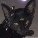 Bbycash069 from fansly